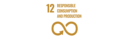 2. Responsible consumption and production 12