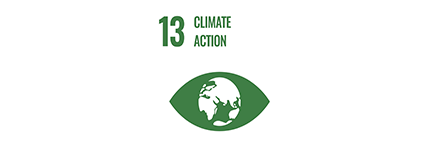 2. Updates and future sustainability plans 13