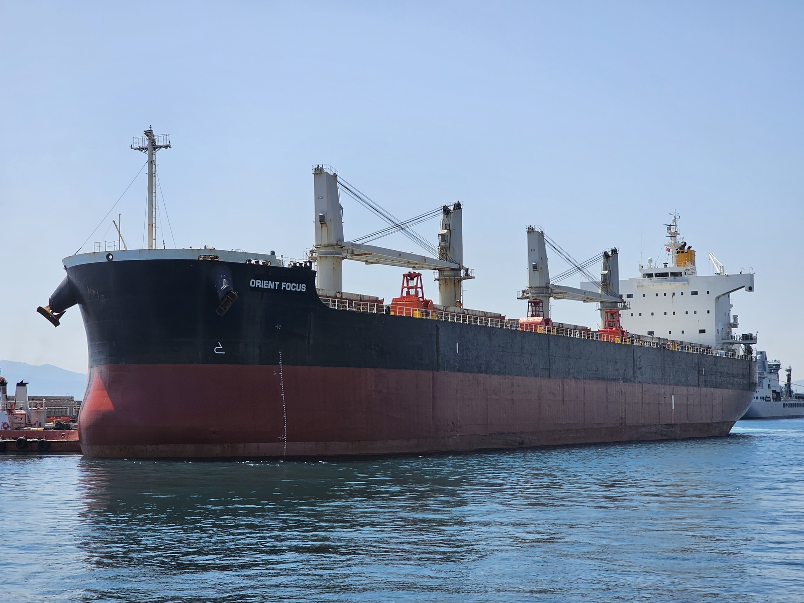 Orient Focus, Supramax